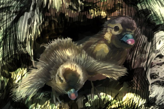 オシドリのtwitterイラスト検索結果