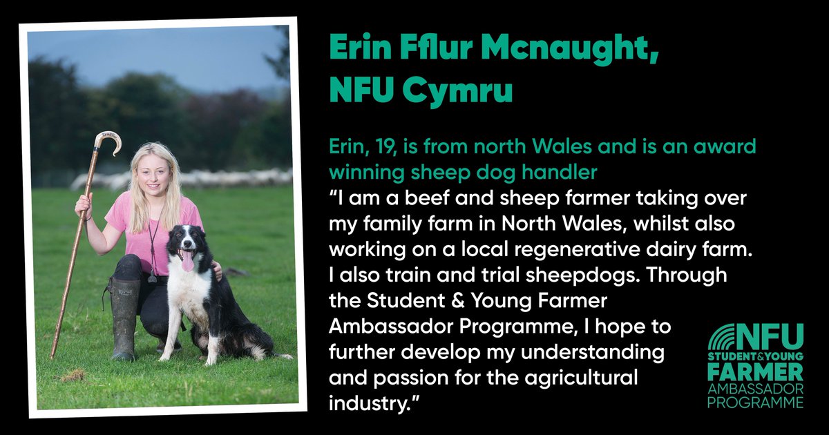studentfarmer's tweet photo. Erin is one of three representatives from NFU Cymru for the 2022 ambassador programme. You may have seen Erin on TV programmes such as BBC Countryfile, and Channel 5's 'On the Farm'
#NFU #syfap #agriculture #youngfarmer #futureoffarming #farming https://t.co/o43F3ewnlI
