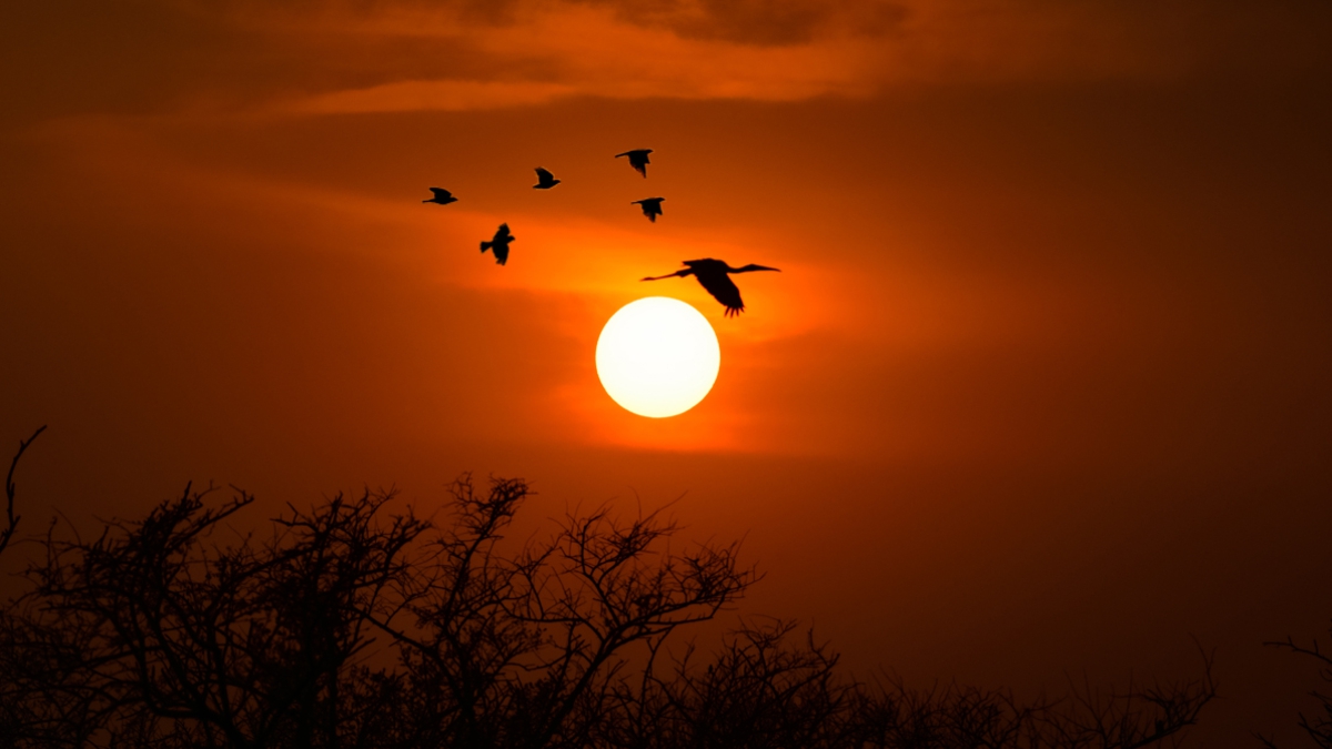 Rajasthan Tourism tweet media