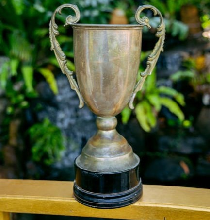 Please nominate us for @TheBigGive Supporters Choice Award from 12 today til 7 Dec. Simply post on Twitter, Facebook or Insta, using #cc21mychoice. Tag @TheBigGive &amp; @gaincharity &amp; say why we should be nominiated. Find all the links here:
linktr.ee/TheBigGive
#GBS #CIDP