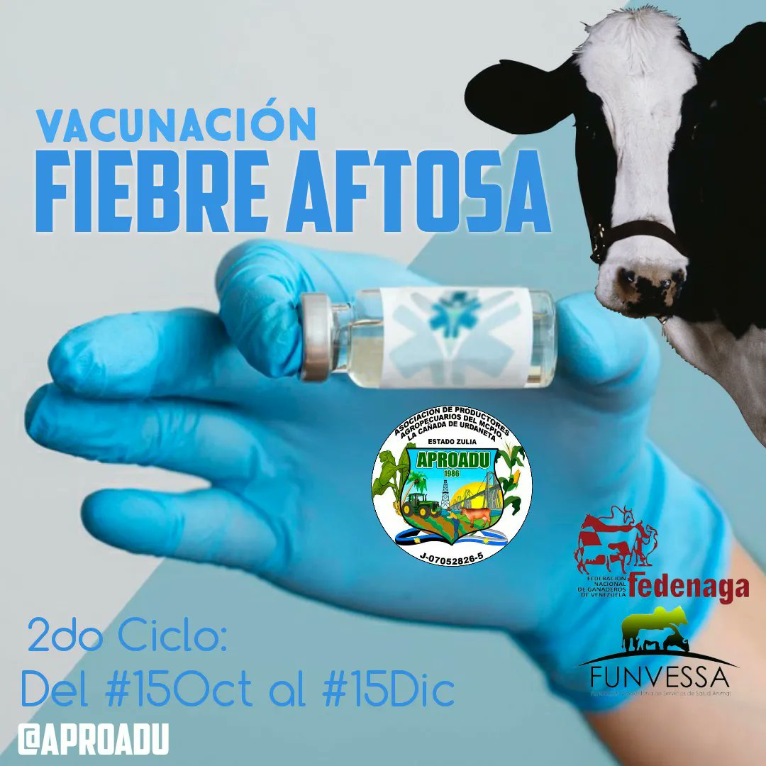 aproadulcu's tweet photo. Por una #VenezuelaLibreDeAftosa

#VenezuelaProductiva ⠀
⠀
#Aproadu ⠀
#LaCañadaDeUrdaneta #Zulia #Venezuela #Ganado #Ganadero #Finca #Hacienda #Parcela #Campo #Aprender #Tierras 
@Fedenaga @fegalago @Confagan @WernerGutierrez @INSAI_Zulia @MV_AngelAtencio @g_americo_avila https://t.co/kBKsg2CXat