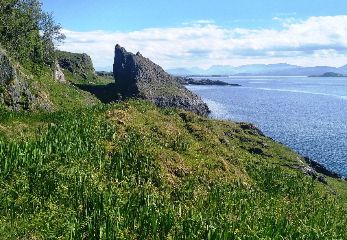 walklismore's tweet photo. This is a stunning walk with not one but 3 Duns -An Dùn, Dùn Chrùban, Fiart Dùn, - and of course the constant beauty. A walk to the Lighthouse doesn't have to be on the road. #walklismore#lismorelighthouse#kilcheran#fiart#dalnarrow#dunchurban#andun#
https://t.co/r3zXA5rW1i https://t.co/XqiVwPocz9