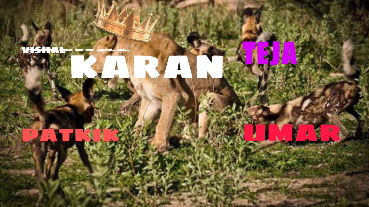 nightwarriorR07's tweet photo. Me as a viewer I am loving #KaranKundrra 's outstanding game in #BiggBoss15  . He is only contestant who is Ruling BB 15 like a king,a lion and winning hearts of Audience.

Rest all are just hyenas who are Just roaming behind Karan for footage...
Kk>>
NEVER MESS WITH KARAN https://t.co/FKHS71q1nZ