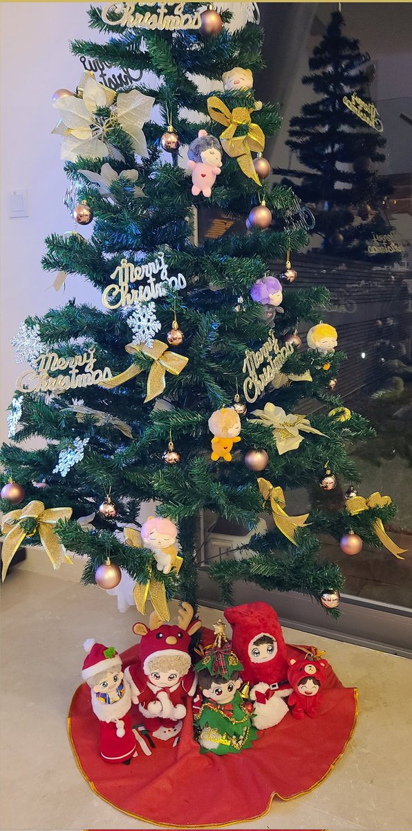 🎄 🎅 
Christmas is coming💜