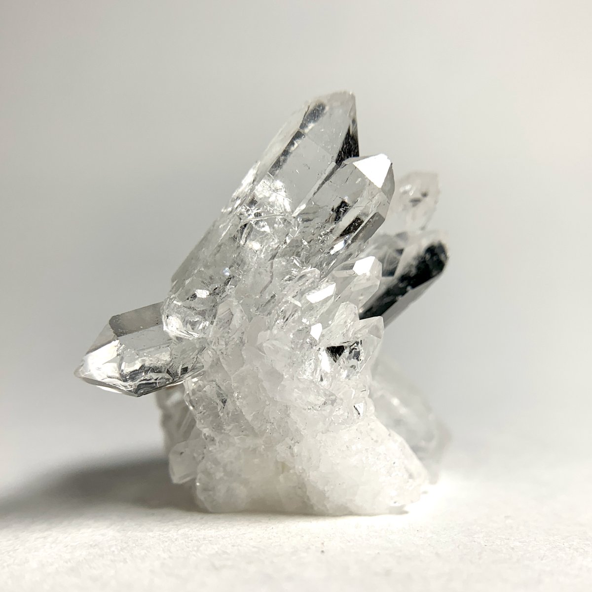 カズホ(ちょっと復活) tweet media