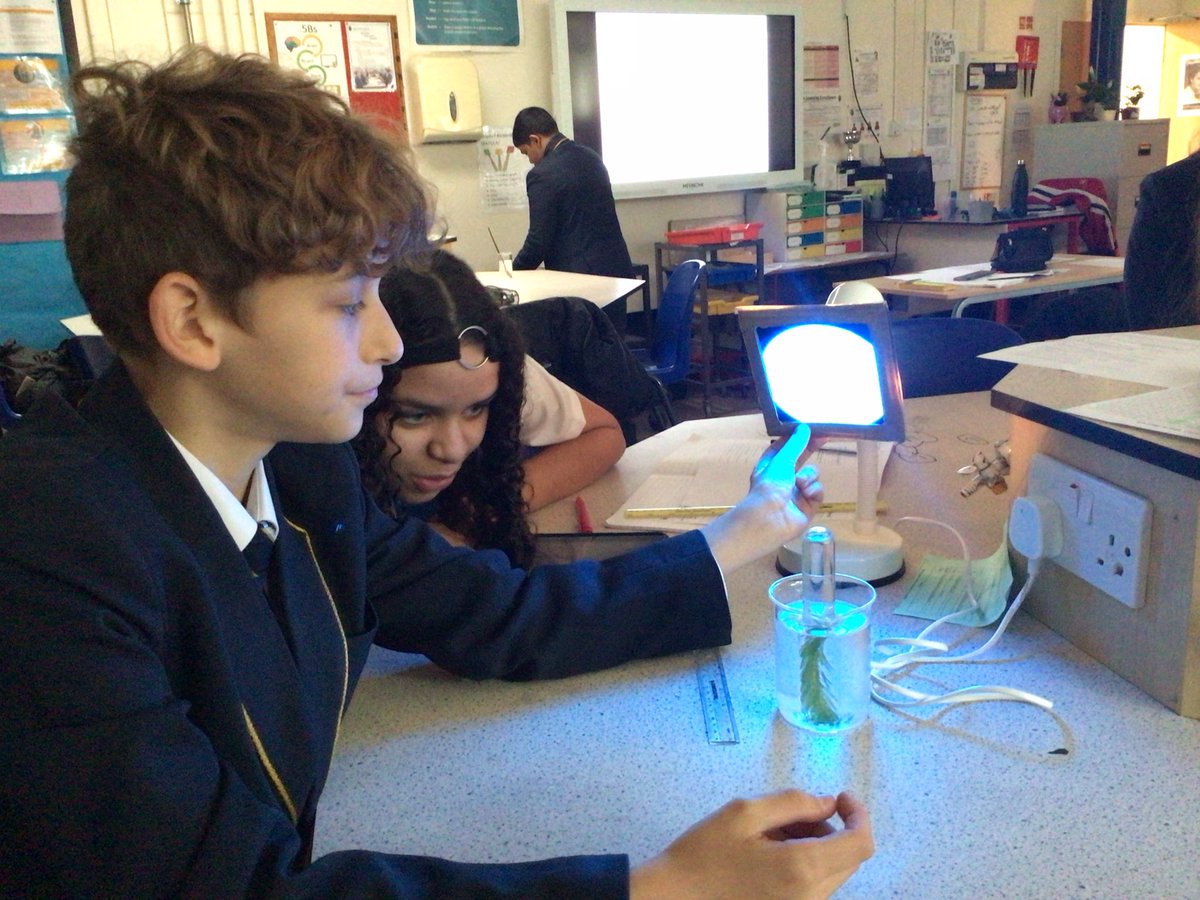 Mr Jackson’s Year 8 class has been investigating the effect of different wavelengths on the rate of photosynthesis.