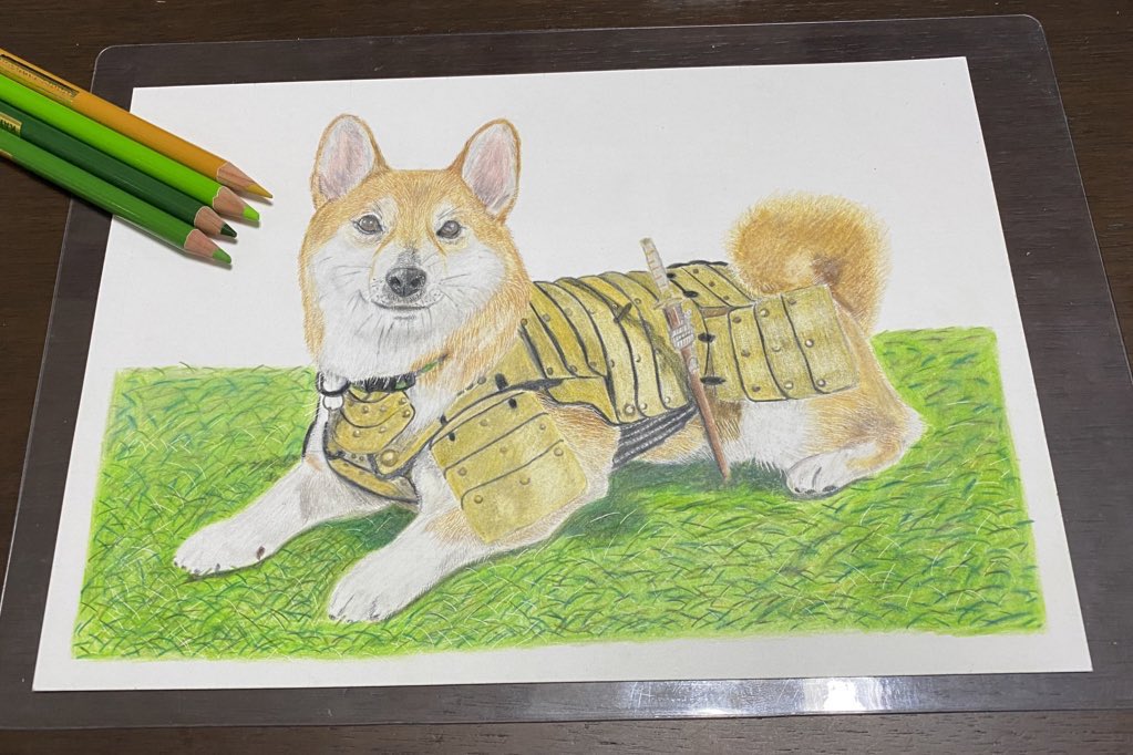 Twoucan ムタさん シバーギー トトさん 猫 Muta Ooyan