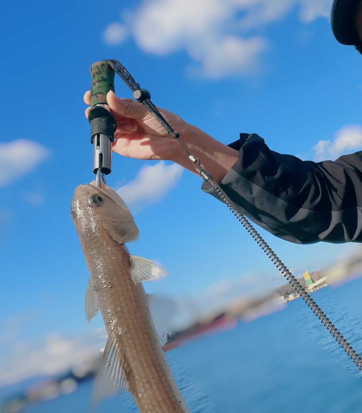 女性釣り部 中村千夏 釣り好き女性の会 はい エソちゃん 今日は 初めて行ったスポットでした 今日の釣果です エソしか釣れないのかぁ カマスかサゴシ 釣りたかったなぁ 新潟 ジグサビキ 釣果 T Co Ithikokbsj Twitter