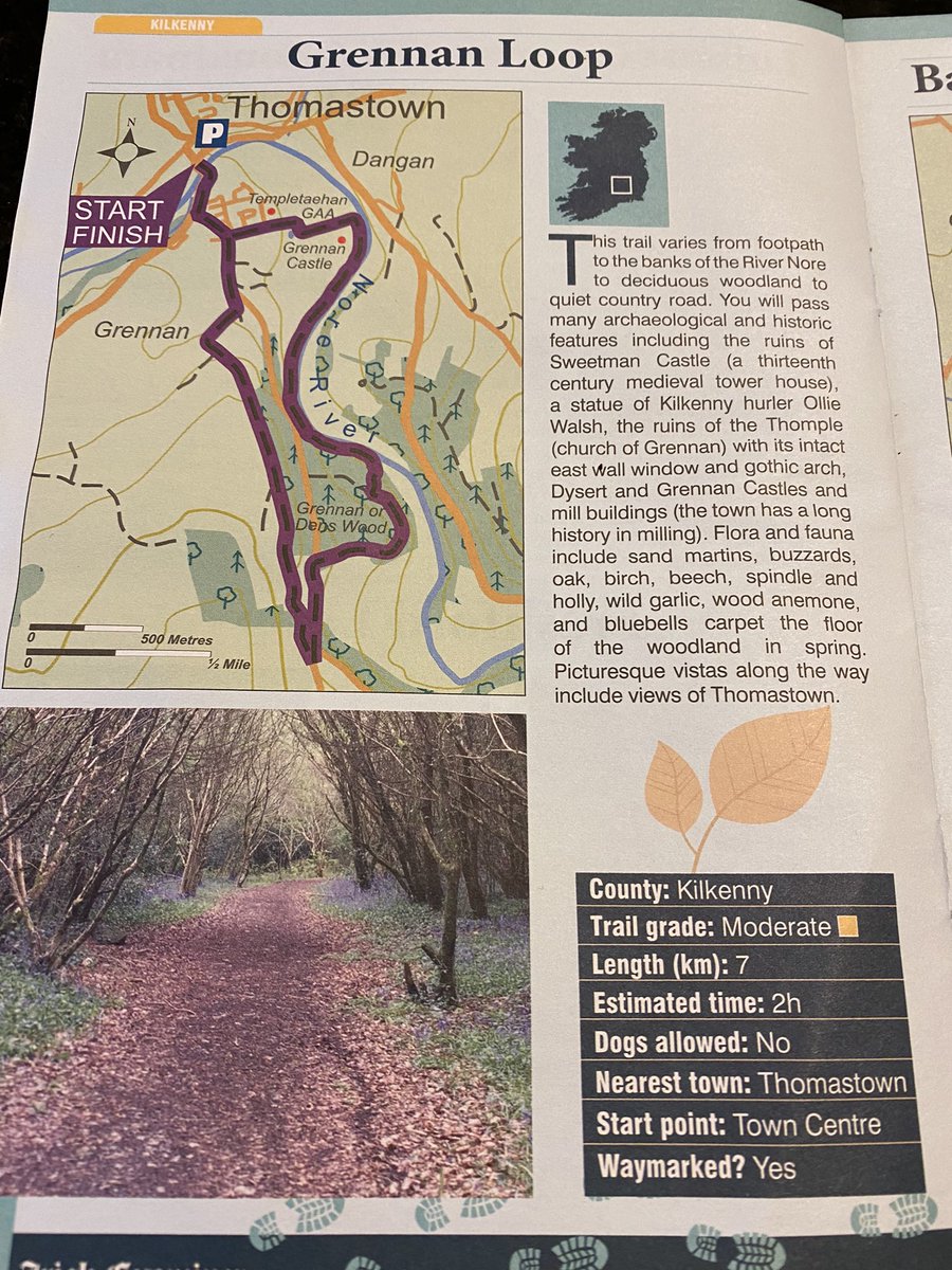 margav7339's tweet photo. Hay! Any from Kilkenny that has done this walk. Can I bring the dog on a lead? #Kilkenny #thomastown #loopedwalks https://t.co/yxVXfYD0KH