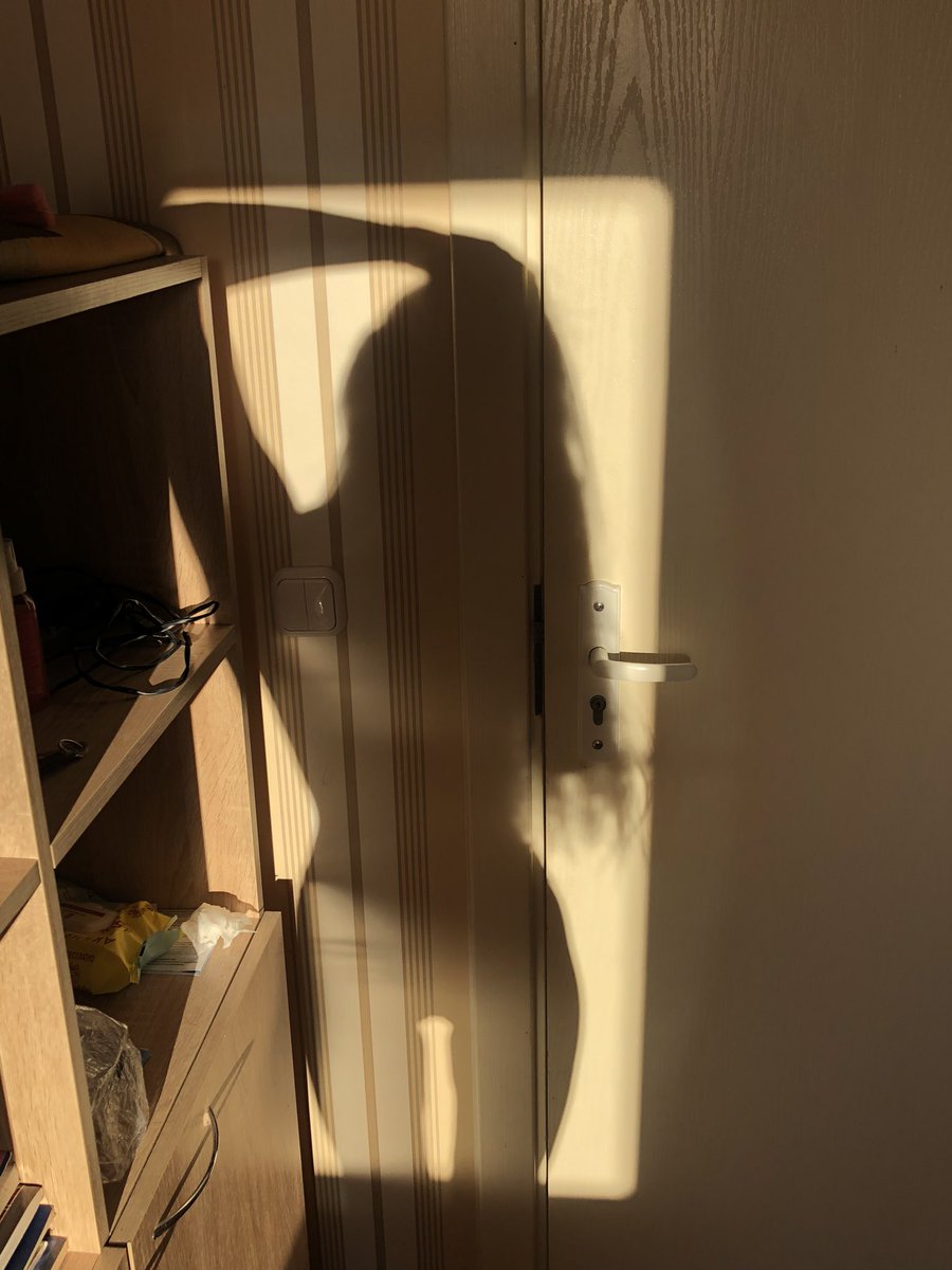 Ничего себе свет ты даешь 🌞