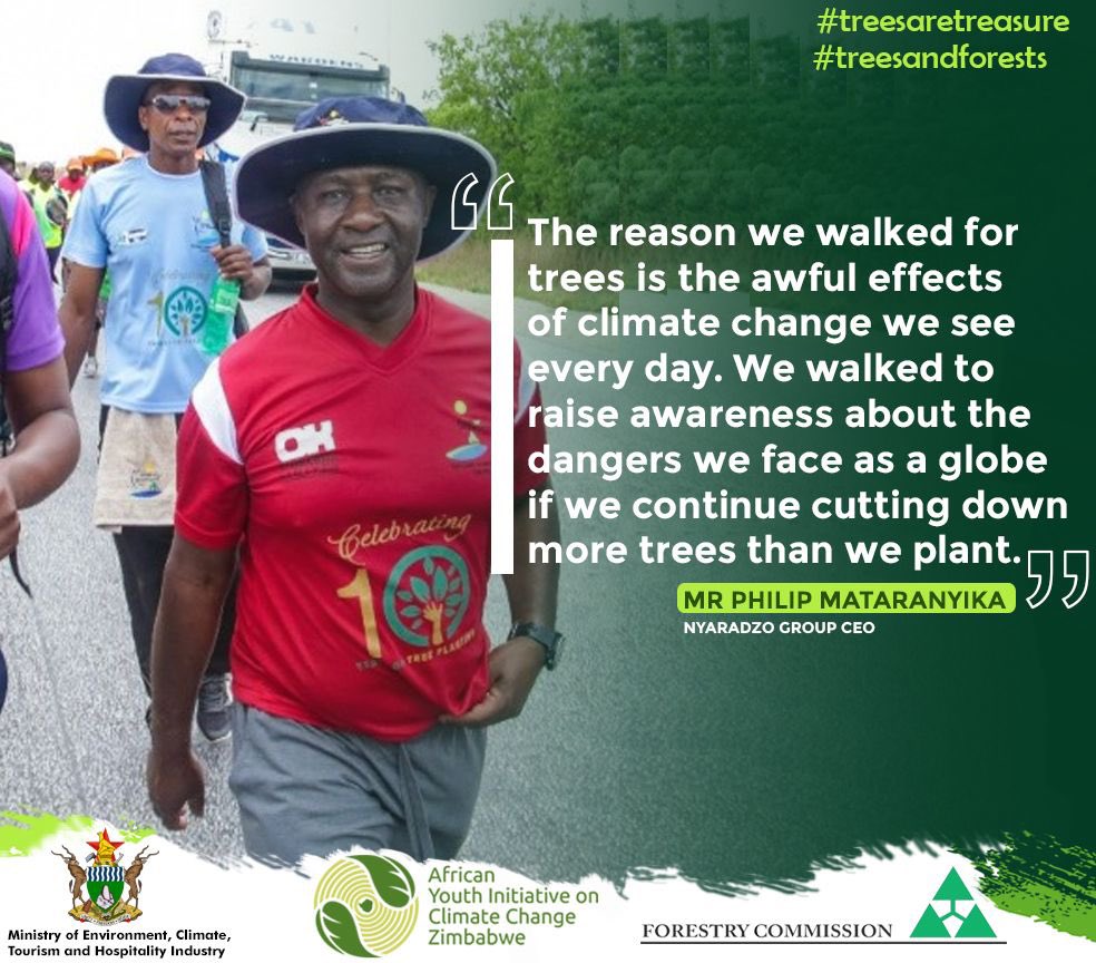 AyiccZim's tweet photo. Winners will be announced tomorrow on National Tree Planting Day - Saturday 4 December 2021.

Don’t miss out the exciting opportunity to win seedlings, cash prizes and food hampers.

#treesaretreasure
#treesandforests https://t.co/UoVeXbIQCt