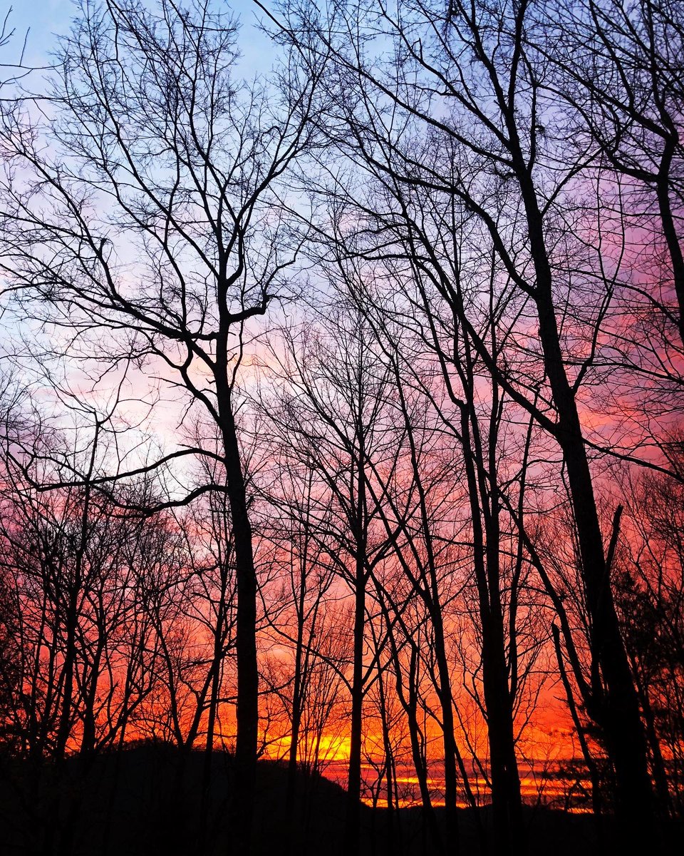 GrimbeekBelinda's tweet photo. The brightest books I’ve ever seen! It’s like a combination of a #4dultrasound and a #sunrise … New life…
Hardcover 8”x10”
Pocket Picture Book 4”x6”
#hellomom #picturebooklaunch #newborn #themiracleoflife #conceptiontobirth #themiracleoflife #pregnancybabybook #expectant https://t.co/x2N2Jbv87W