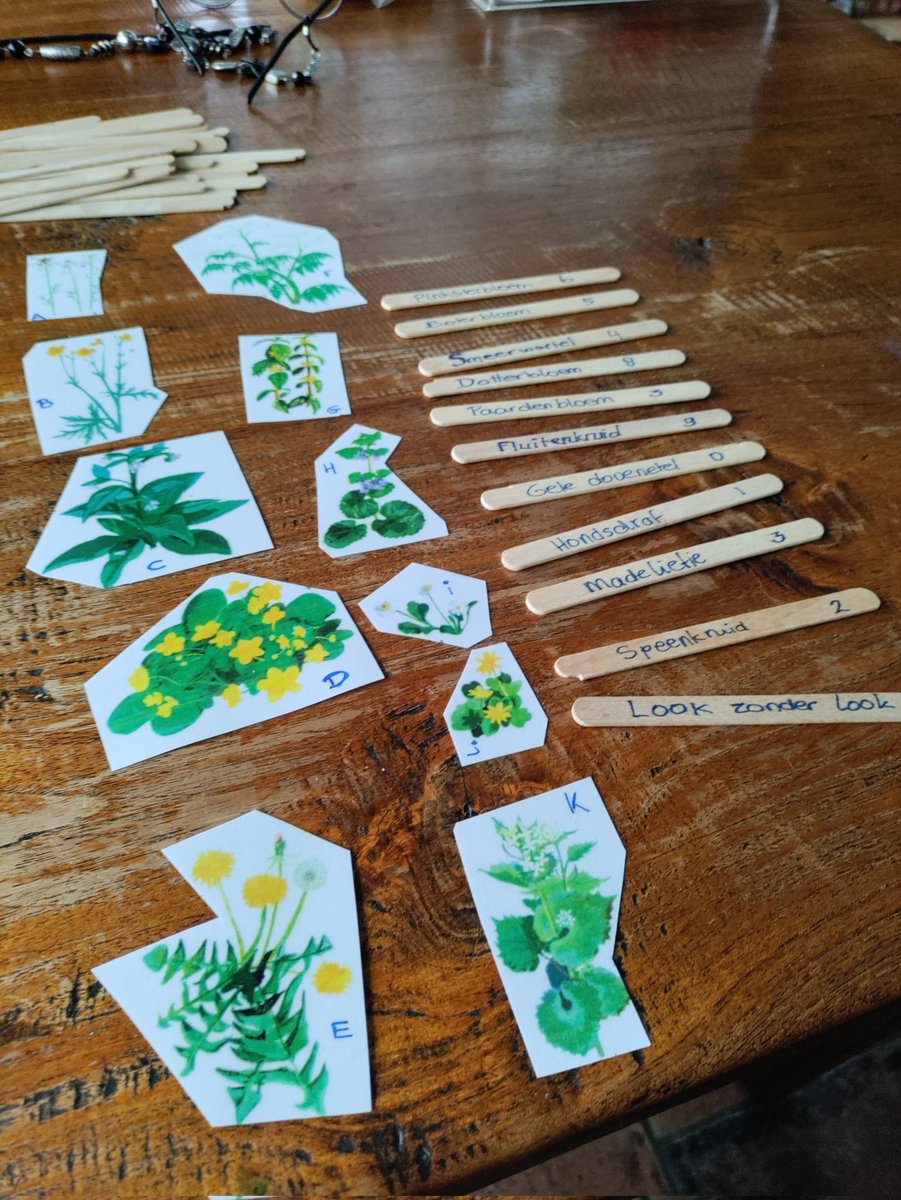 Irene Bos tweet media