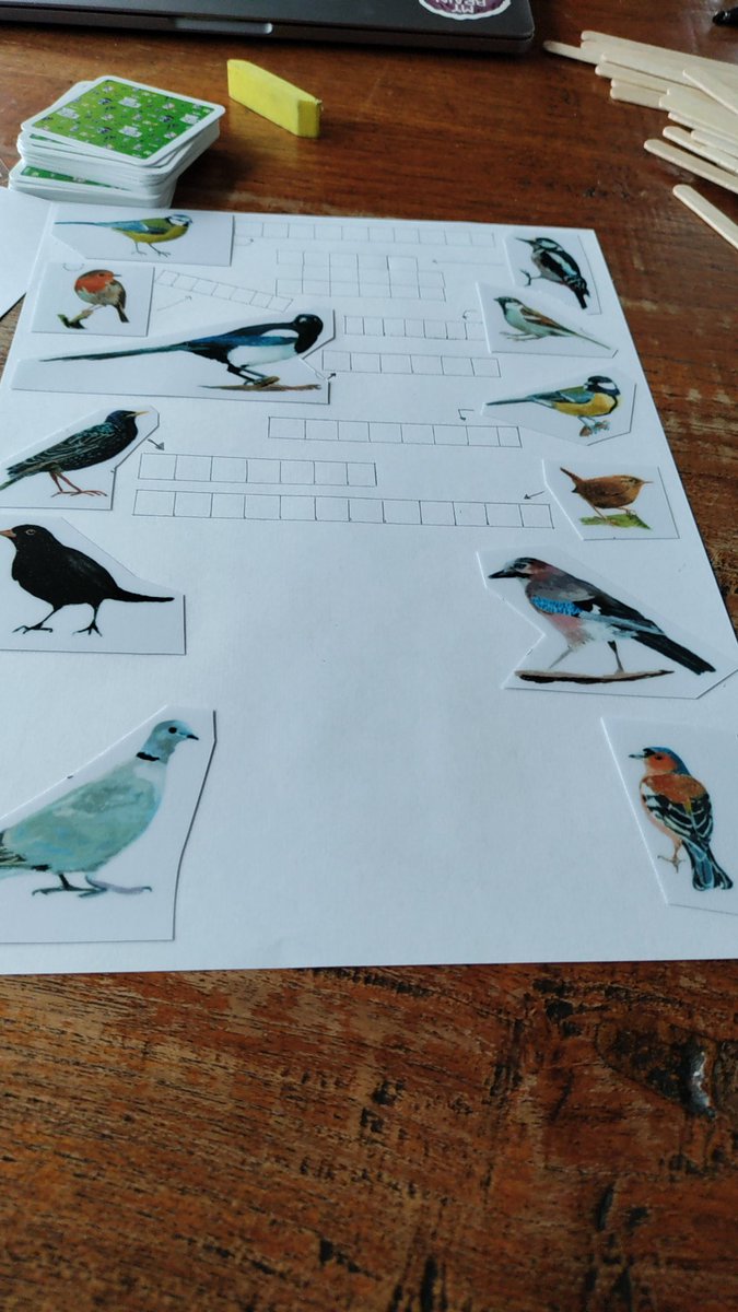 Irene Bos tweet media