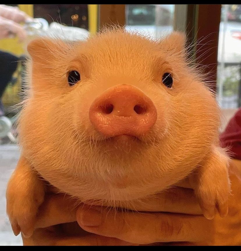 1. Have decided to distribute the 10K Dollars between 10-15 people so a lot more people benefit.

2. Please, if you don't win, don't get mad. Only a few people can win I guess. It's luck.

3. Need to find a way to prevent giveaway hunters from cheating us.