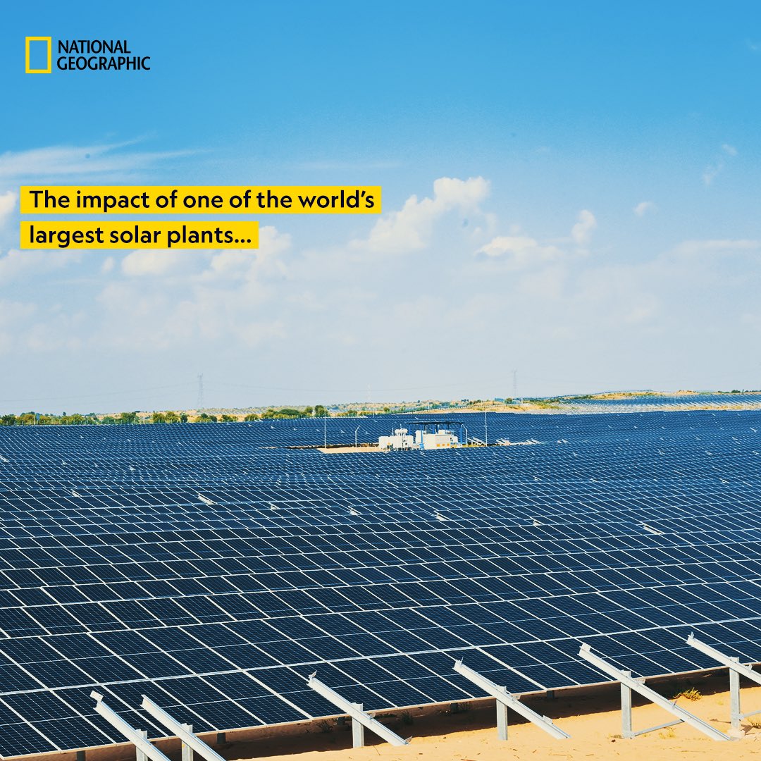 NatGeoIndia's tweet image. To give light to millions, engineers will have to go beyond.
One of the world’s largest solar plants, at a single location, by an independent power producer will be built in #RaysOfChange on 4 Dec, 8 pm. 
#PartnerContent Produced by Nat Geo with @avaadaenergy