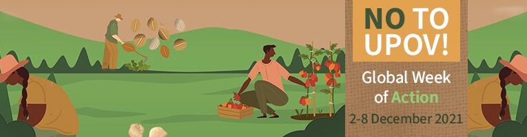 Seeds: Call for global week of action against UPOV | 02 – 08 DEC 2021 #StopUPOV viacampesina.org/en/seeds-call-…