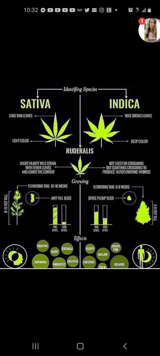 CoughToGetOff_'s tweet photo. Recording a new episode of the podcast this Saturday, if you haven't tuned in to the last one yet heres the link! https://t.co/n9tYUYIuE2
Like and leave a comment telling us what yall liked and what yall didn't like we always respond to the comments!! #podcast #WeedLovers https://t.co/tMz3SlDQqG