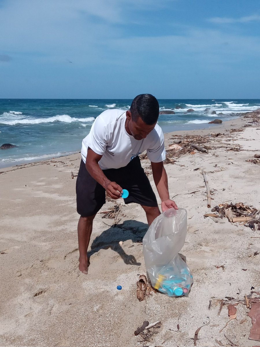 GECarrasquel's tweet photo. A veces acompañado, a veces toca solo, pero hay que retiralos. Todos los días llegan muchos #plásticos, fragmentos de #anime y #tecnopor a playa #Tipire en #PuertoColombia #Choroní #Aragua
Esta es zona de #anidación de #TortugasMarinas y #AvesPlayeras https://t.co/qEvk0OKycN