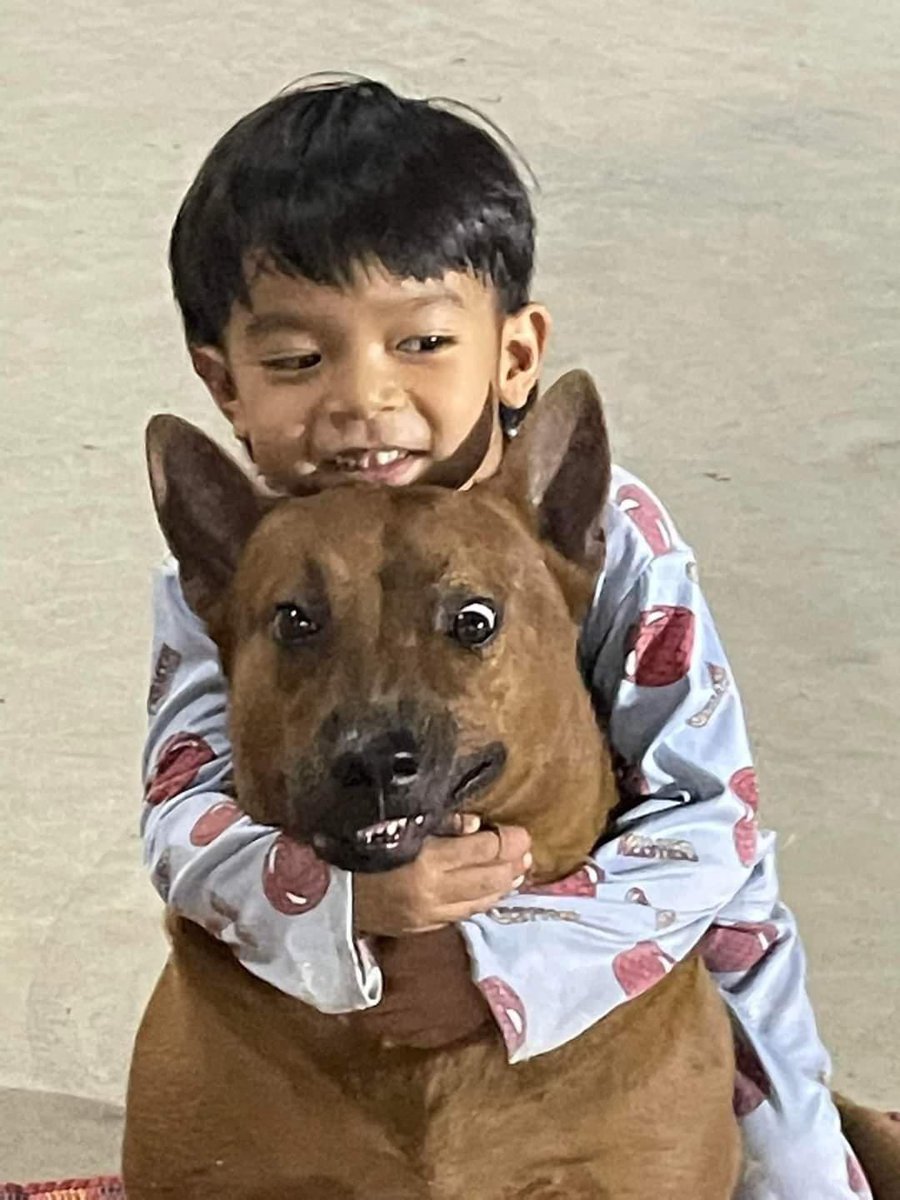 ถ้าน้องพูดได้คงพูดว่า ‘นุด เมื่อไหร่ลูกมึงจะไปโรงเรียน’ แน่เลย55555555555555555555555555555555555555