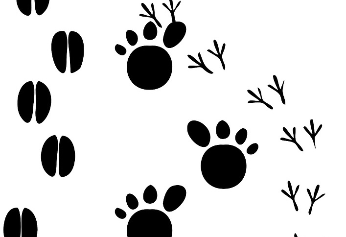 Hello to all archaeology-heritage twitter users! 🦴🏺🏛️⛏️🔬 I'm collecting survey responses for my undergrad dissertation and would love to hear from you. My project focuses on perceptions of animals in our industry.

Please fill in and share! 
 ⬇️⬇️⬇️ 
tinyurl.com/animal-percept…