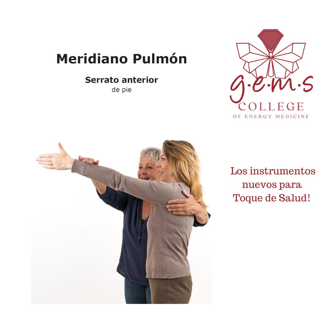 healthylexi's tweet image. New tools for #TouchforHealth! Los instrumentos nuevos para #ToquedeSalud! These pretty manuals from my friends int he Netherlands. Cards and flowcharts to come.