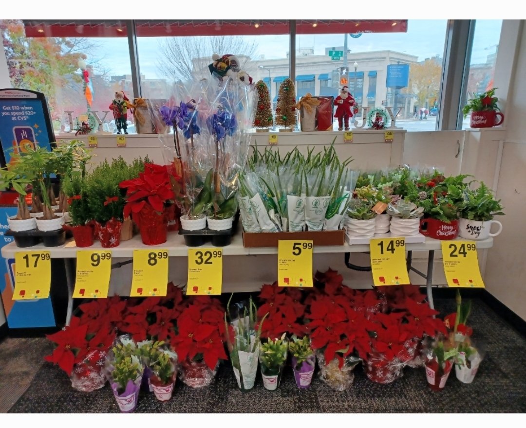 Happy holidays to all our community members at Dupont circle NW Wash. DC businesses, offices and residents it's pleasure to be part of this awesome community! Now we serve U from Health Hub with more additions. 
Fresh flowers &amp; plants add happiness to holidays #CVSD3brandhealthy