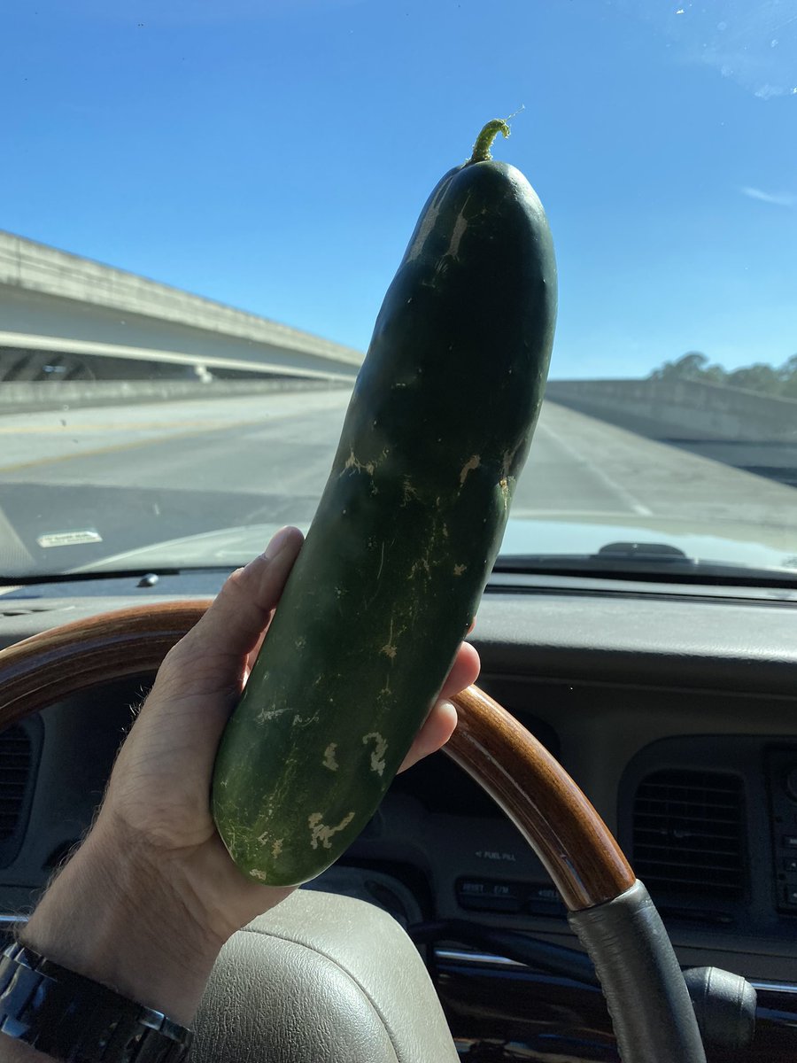 Flanders660's tweet photo. Off to scoop @GratefulDegen for LotBasel. Bringing him a present… @FarmersMktverse #LotBasel #MiamiArtWeek #VineRipe #MarketFinds #FreshFruit #FMV #GardenLove #Cucumber https://t.co/88mfRKCwGQ