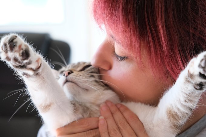 Photos my boyfriend takes of me and my cat ❤ https://t.co/z17dGdF5i0<a href="/tag/mvsales"class="tags"><span>#mvsales</span></a>