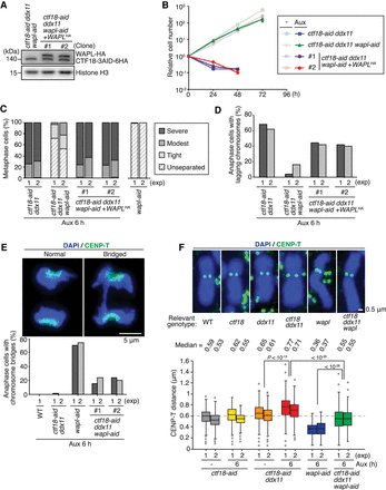 Genes & Development tweet media
