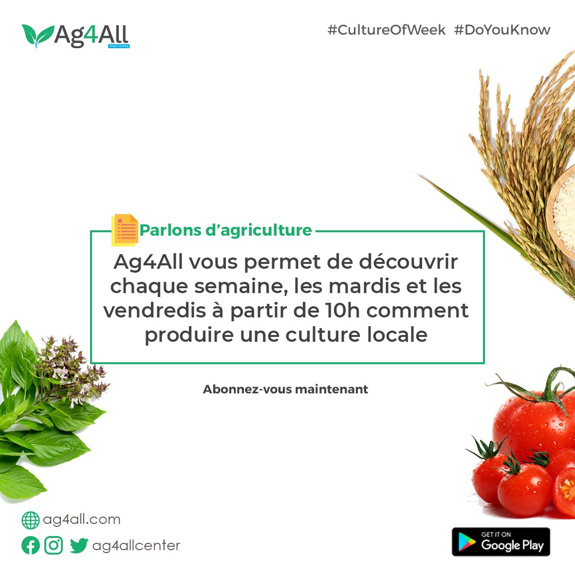 ag4allcenter's tweet photo. L'agriculture est l'une des plus grande richesse d'Afrique et dont tout le potentiel reste encore inexploité. Avec les nouvelles technologies produites aujourd'hui, elle est bien plus facile.  
#agriculture #ag4allcenter @gouvbenin @FAO https://t.co/RDzQYub40b