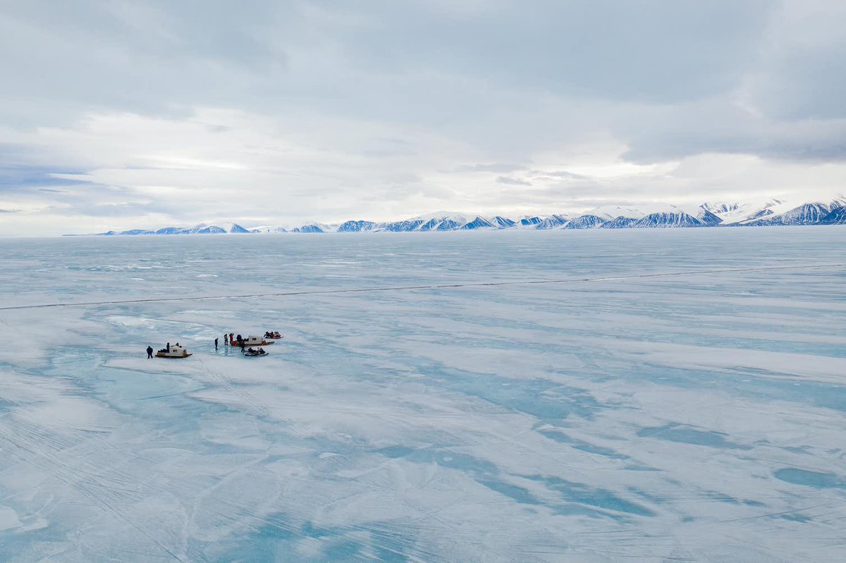Arctic Today tweet media