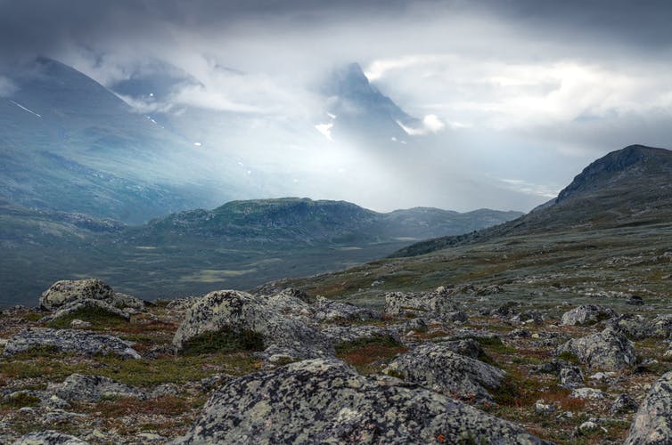 Arctic Today tweet media