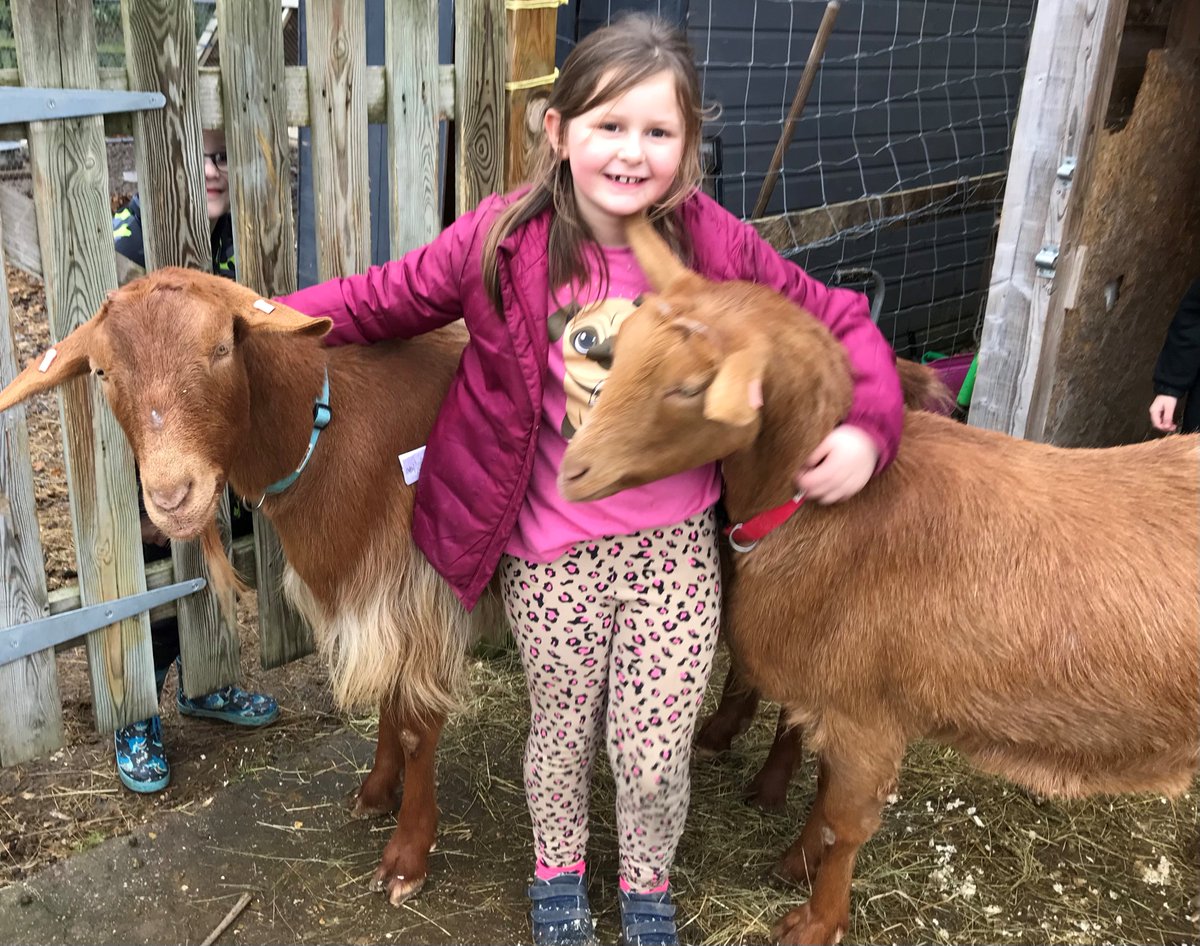 WBLeighSch's tweet photo. #WLPSWestbury #ForestSchool #ShearwaterFarm helping to improve wellbeing and mental health whilst having fun
#BuildingResilience #ImprovingConfidence
#WiltshireSchools #SalisburyDioSchools
@MatraversSchool @SDBE_Update @EcoSchools @ForestSchoolUK @PrimaryTimes @ukfamilymatters https://t.co/laSrVlQ5y2