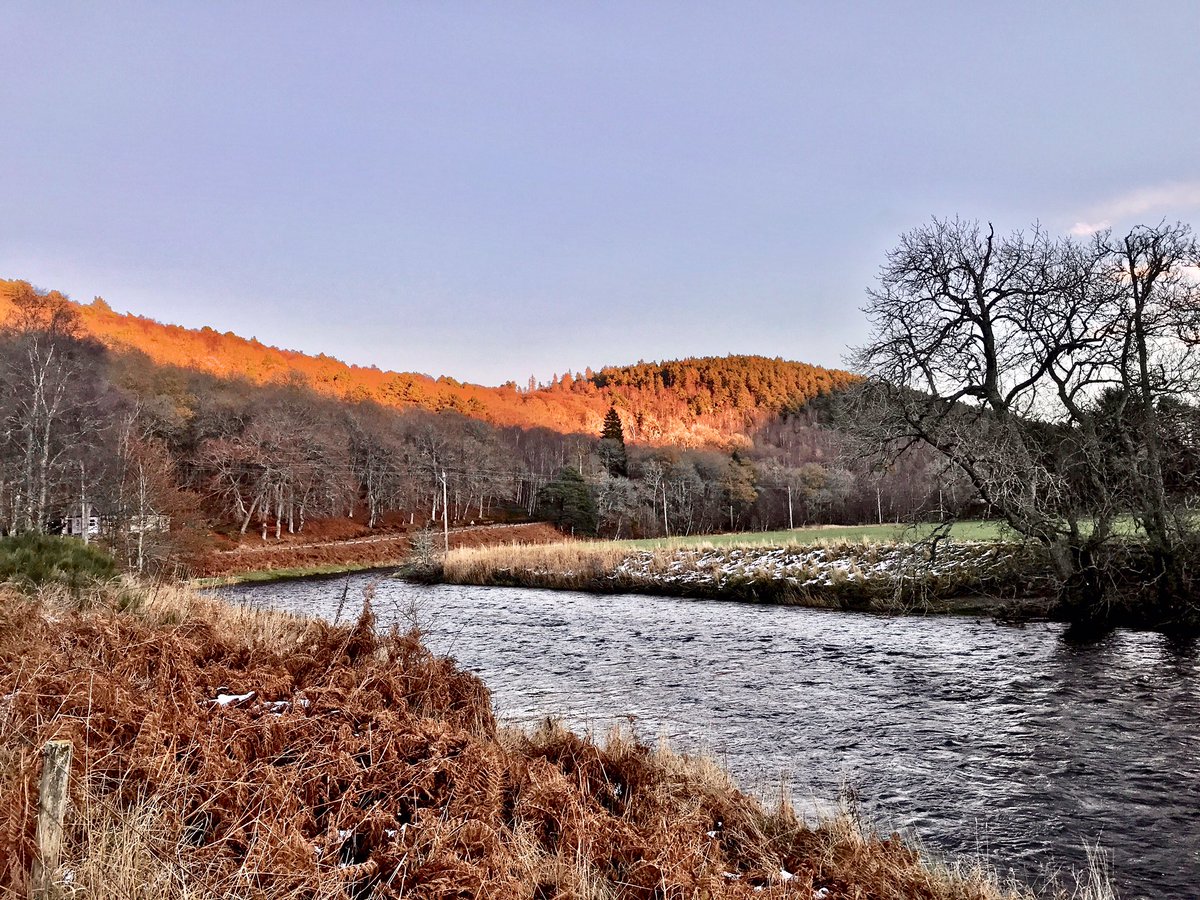 TheMackWalks's tweet photo. Today, Ardhuncart💙 #walking #localwalks #ardhuncart #ardhuncarthill #mossat #alford #aberdeenshire #sundown https://t.co/wUG2pJh2TU
