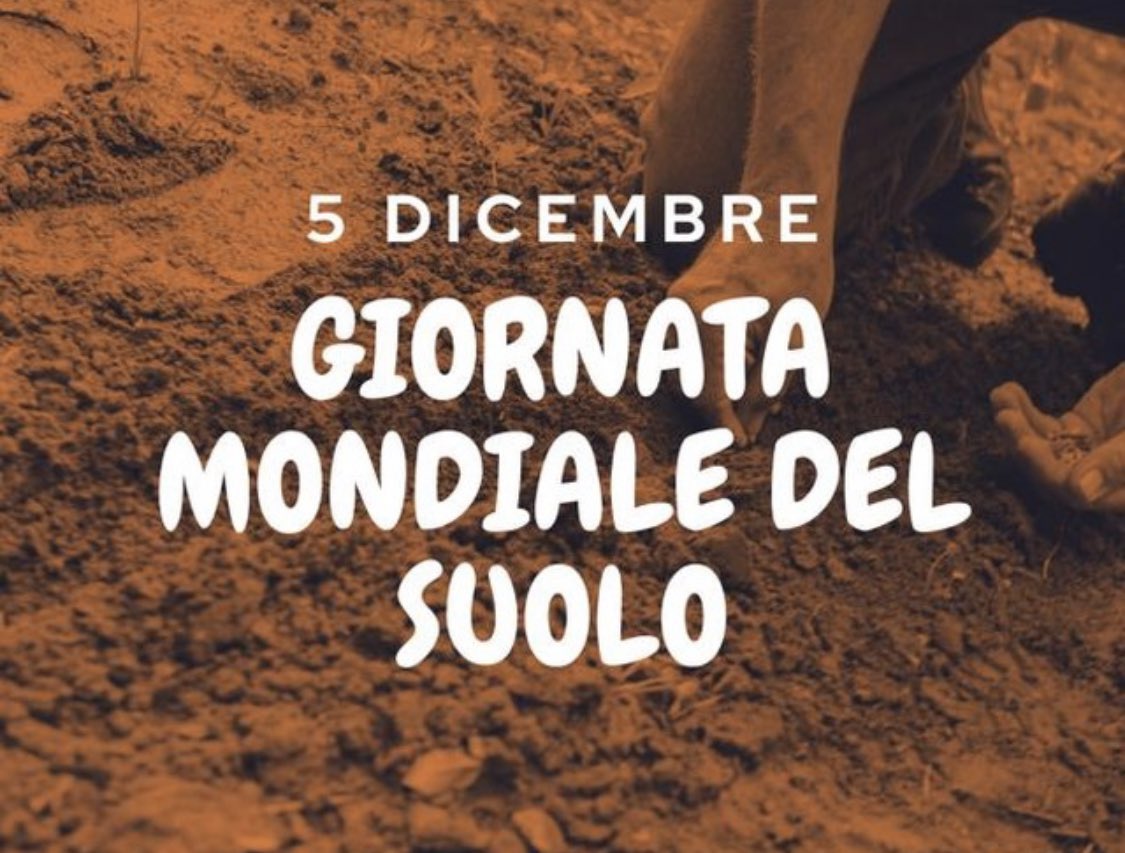 difesambiente's tweet photo. In occasione della giornata 
mondiale🌍 del #suolo 🪱
del #5dicembre 

Vieni a conoscere meglio questo argomento 👉🏼 https://t.co/vaLFLYSxSL

#smm21 #suolo https://t.co/mI7UCx31tb