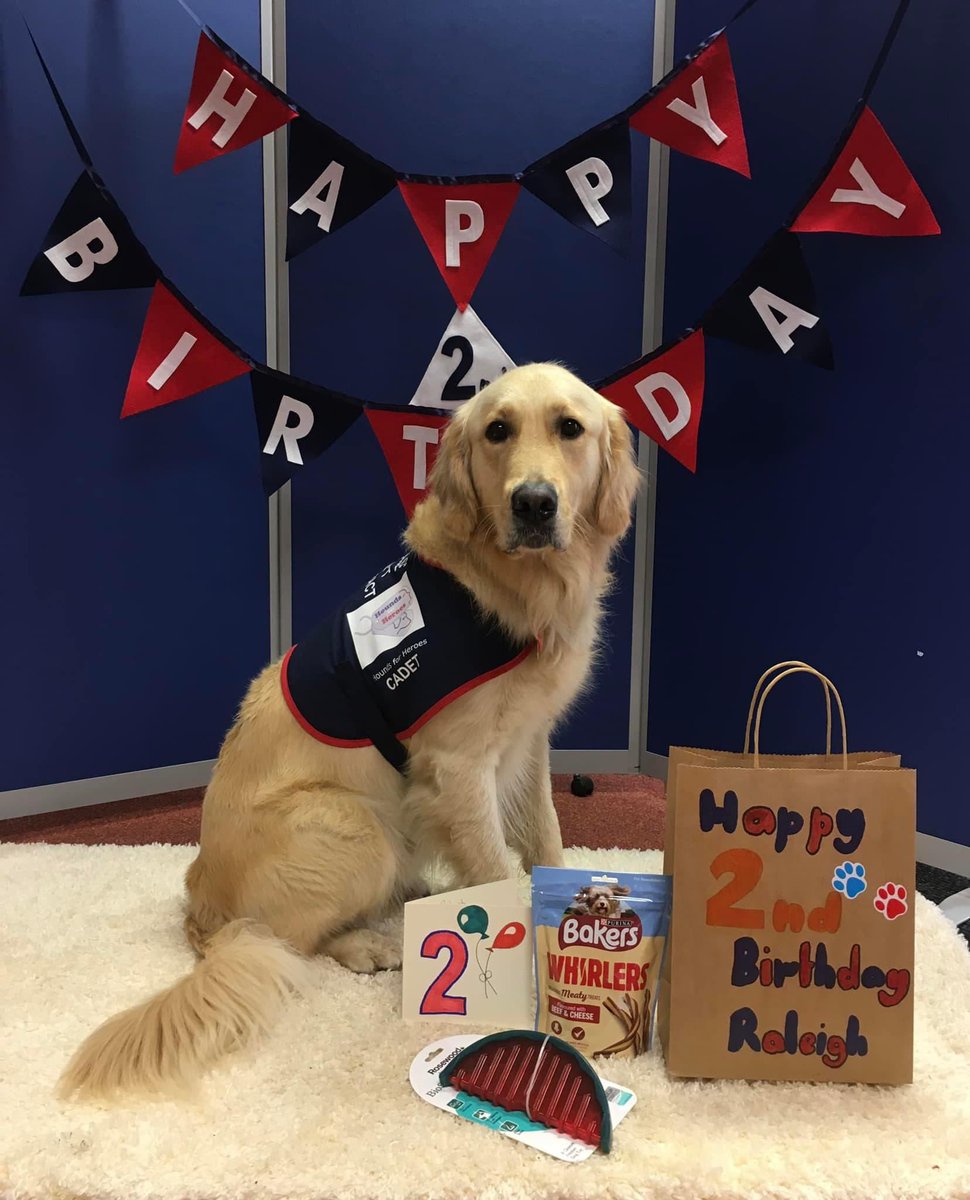 We would like to wish cadet Raleigh a very happy 2nd birthday! 🎉🎈🎁

#houndsforheroes #assistancedog #ukarmedforces #emergencyservices #dogbirthdayparty