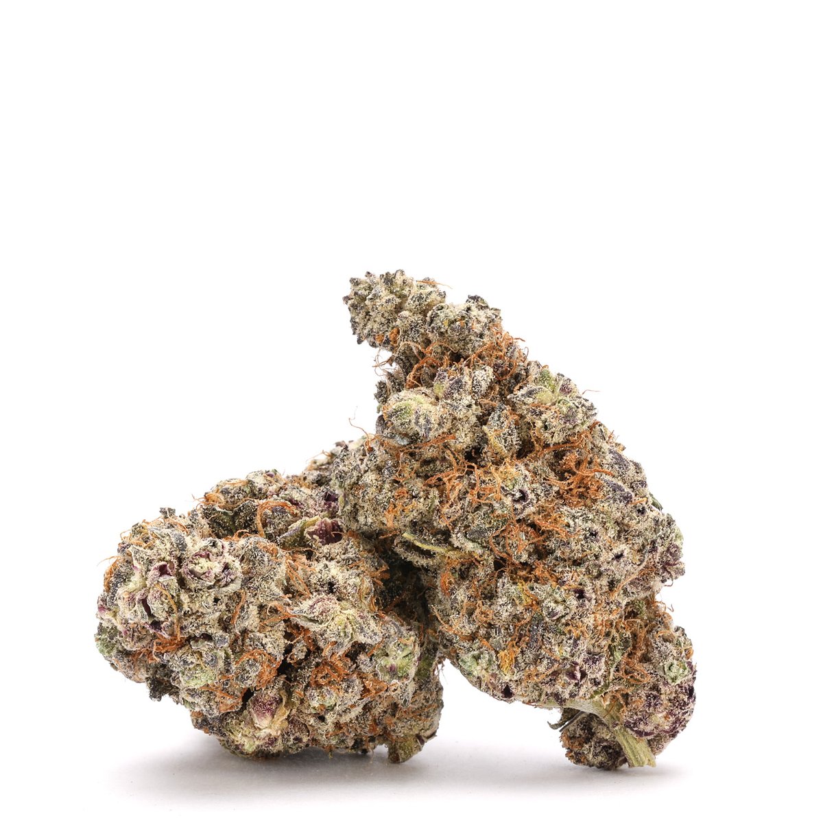 therealbudmail's tweet photo. Albatross - Unicorn Poop ๐ฆ๐ฉ
Now available!
Shop: https://t.co/rBuNPaUDjE
This strain delivers a sharp, focused, and euphoric high that allows for creativity and productivity while maintaining a relaxed and calm manner. This rare strain is one you wont want to miss!
#budmail https://t.co/Lp7F8SqkZ0