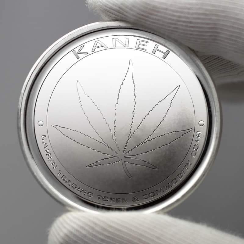 CinemaMind tweet media