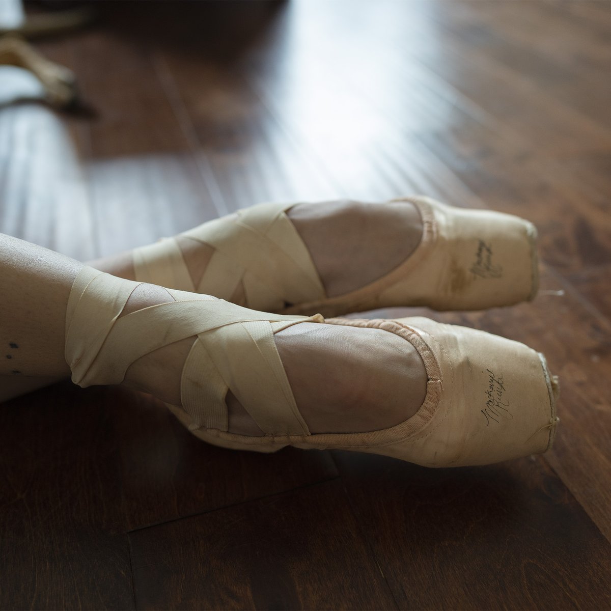 Ballerina Project tweet media