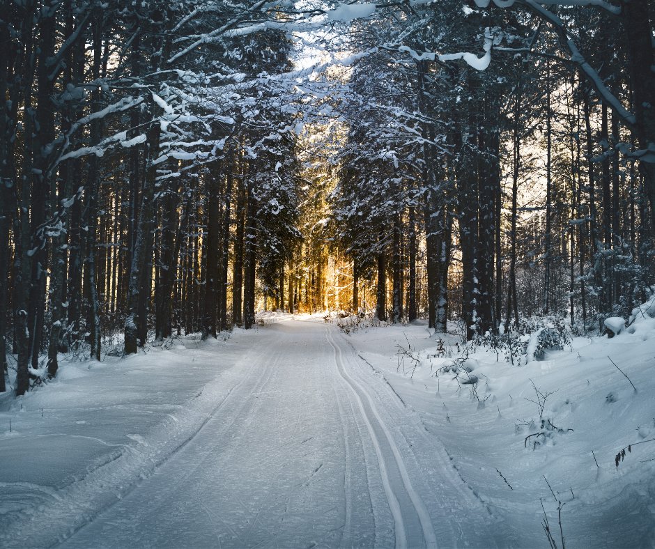 The Minnesota winter is unpredictable at best! Make sure you and your family stay safe this coming frosty season, no matter what the weather throws at you, with five safety driving tips that I put together in this blog post:
https://t.co/eTR0lZqrOv

#winterdriving #winter #mn https://t.co/urpVeEWuSm