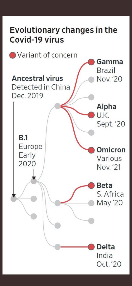 Luke O'Neill tweet media