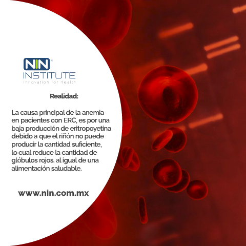En la ERC, es común que los pacientes desarrollan algún anemia (menor cantidad de glóbulos rojos en sangre) los cuales son encargados de transportar el oxígeno sanguíneo en todo el cuerpo. 

#InnovationForHealth  #MitoYRealidadInformativosNiN