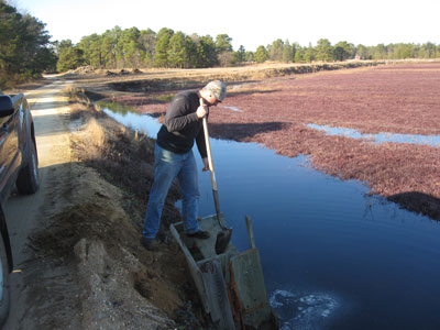 PICranberry's tweet photo. Our team has started flooding the bogs to protect them from the winter weather! https://t.co/rq25j5hPrm https://t.co/YhPz9O0KqI