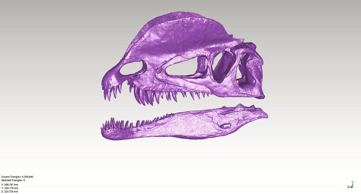 Andre Rowe tweet media