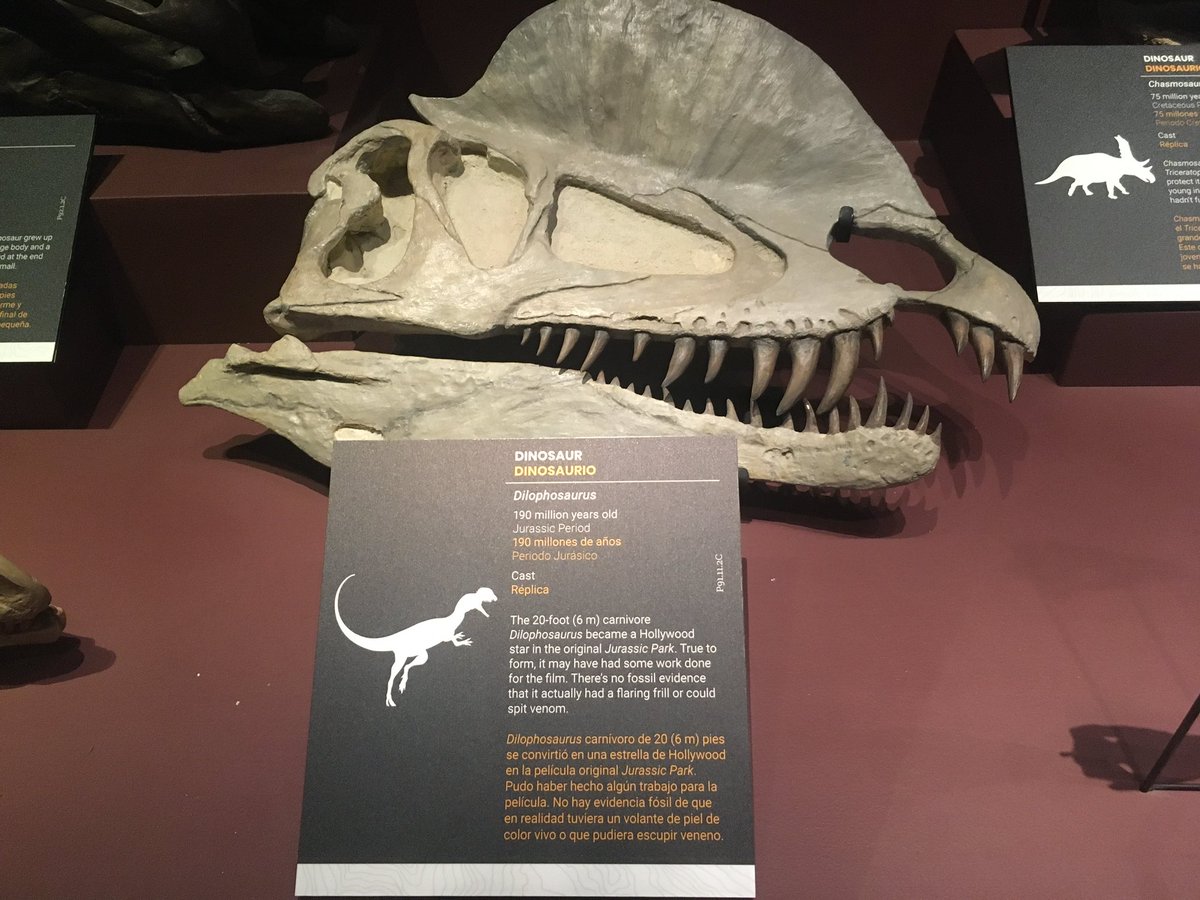 Andre Rowe tweet media