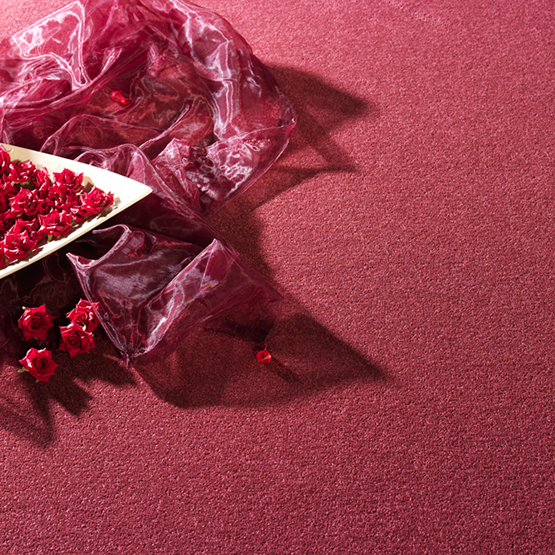 Cavalier Carpets tweet media