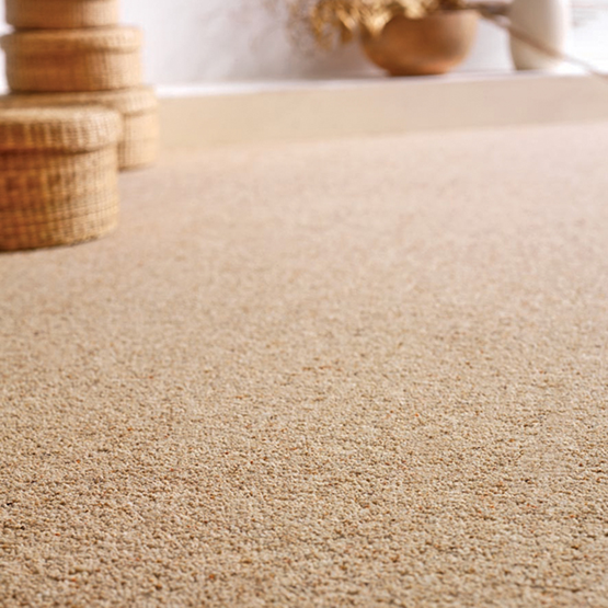 Cavalier Carpets tweet media