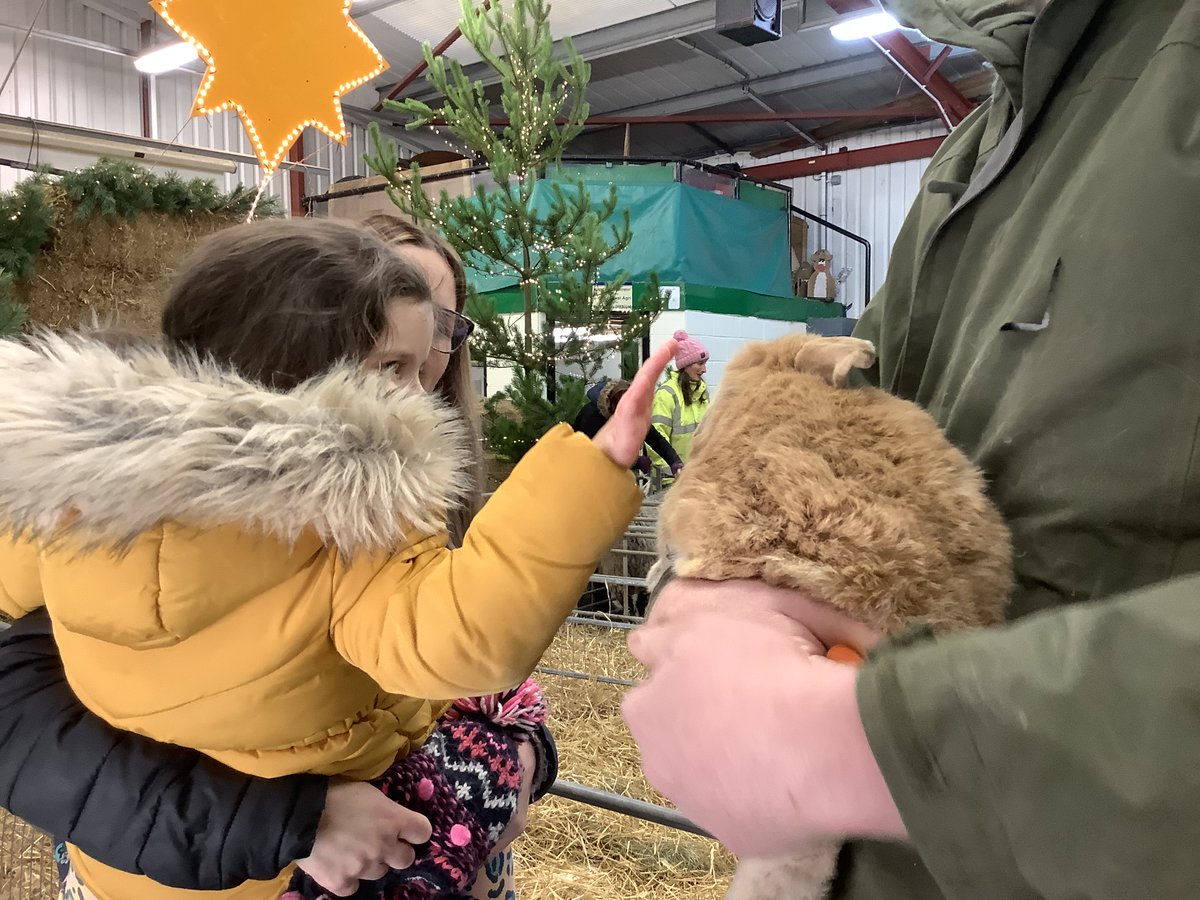 Pont_Primary's tweet photo. A fantastic trip for Nursery yesterday to Greenmeadow Farm @GMCFWales.  Children, parents, carers and staff all working together #community https://t.co/rUI4AjxIp1
