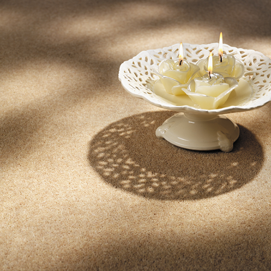 Cavalier Carpets tweet media